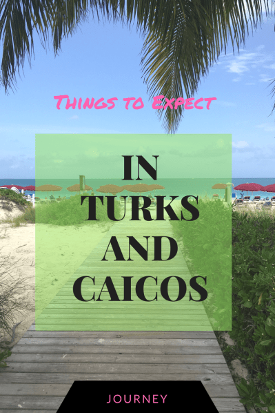 Things to Expect.png