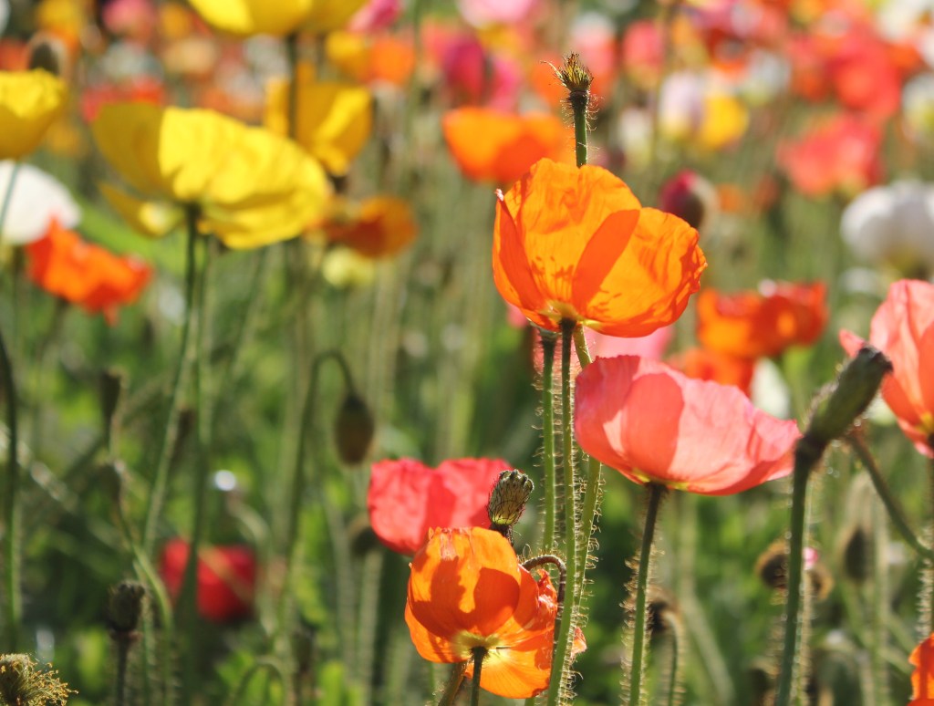 The Importance of Staying&nbsp;Positive