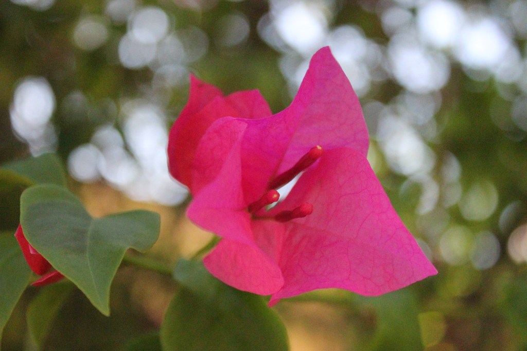 Reflecting on This&nbsp;Summer