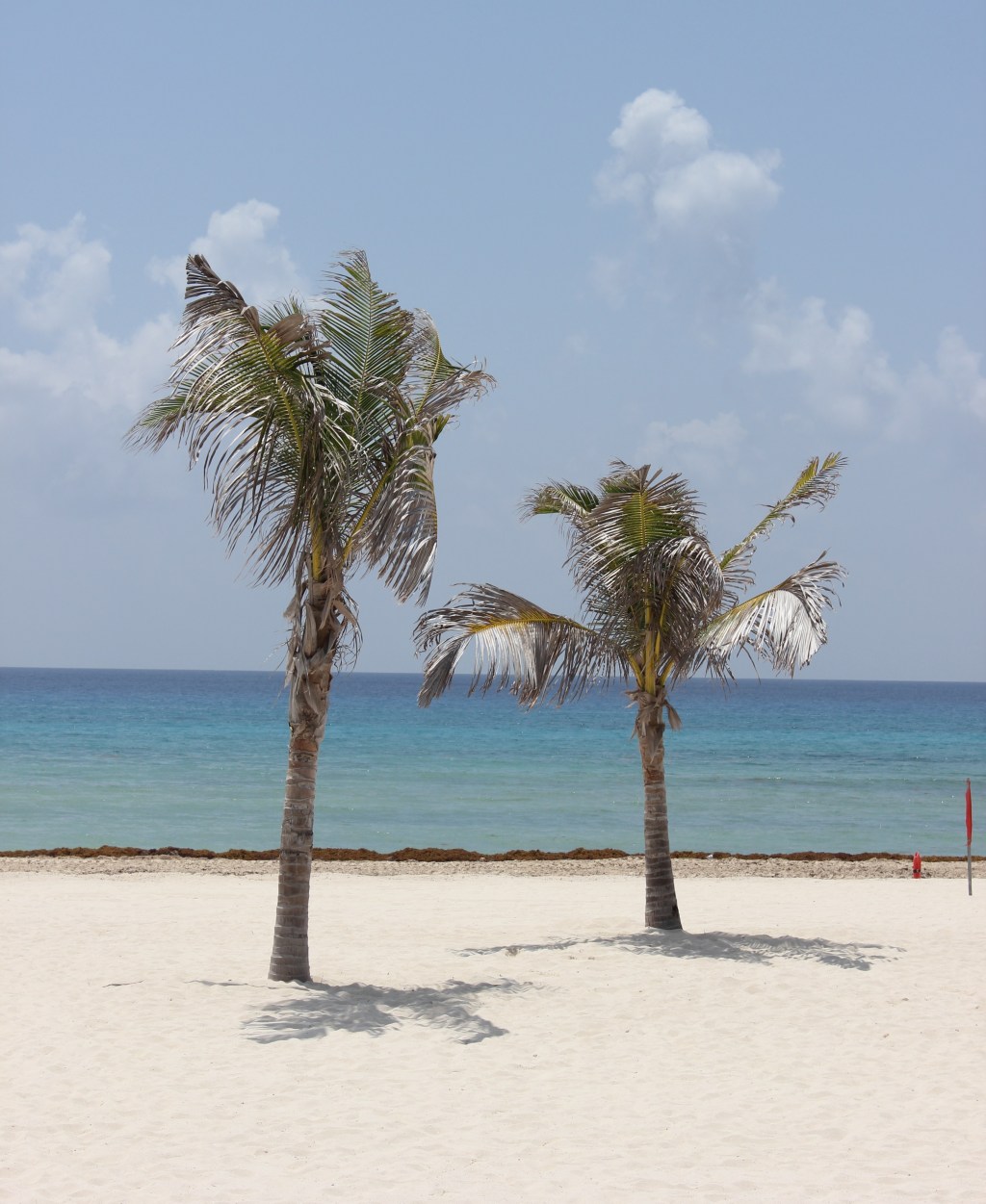 Snapshots from Mexico