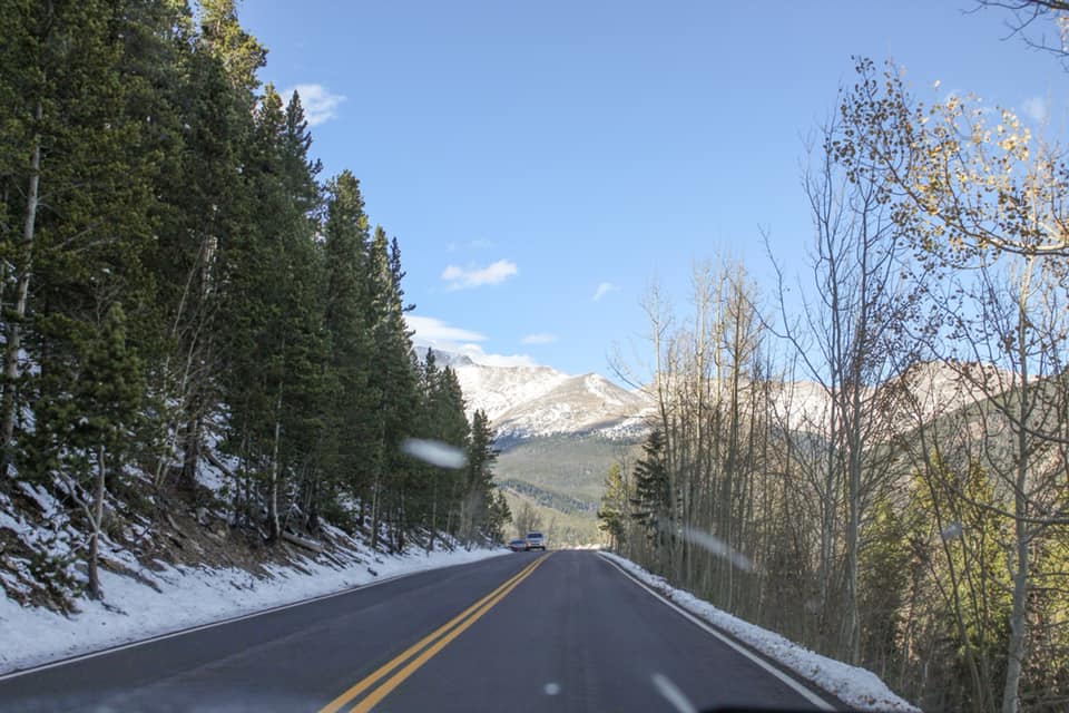 Road Trip Essentials