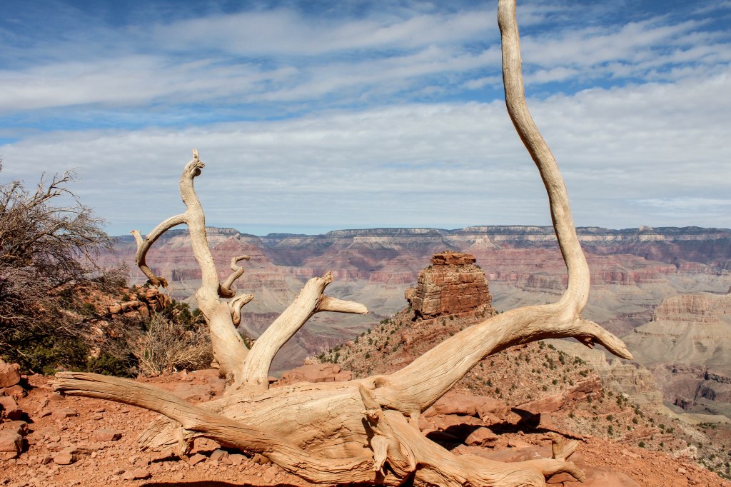 Arizona Photo Round&nbsp;Up